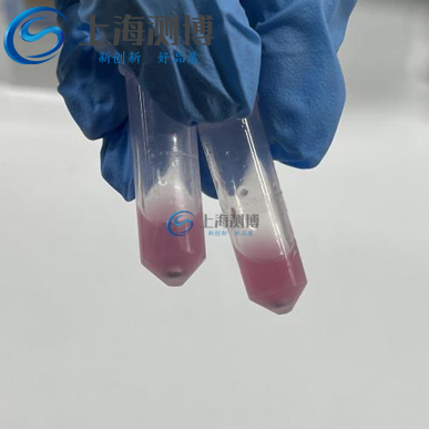 冷凍研磨儀助力動物睪丸組織蛋白、DNA 及 RNA 高效提取實(shí)驗(yàn)案例