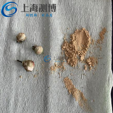 低溫破壁新突破！冷凍研磨儀解鎖山茶花活性成分高效提取密碼