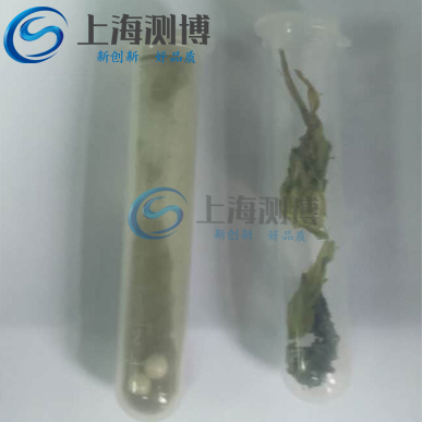 梅菜干研磨實驗結果